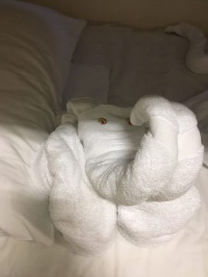 Elephant towel